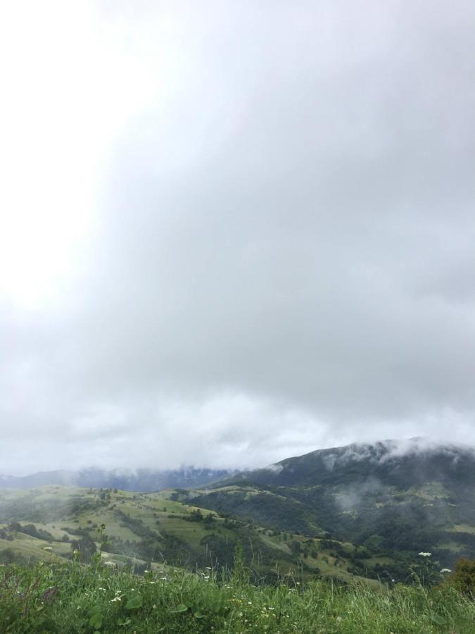 Садиба Between Mountains Mizhhirya  المظهر الخارجي الصورة
