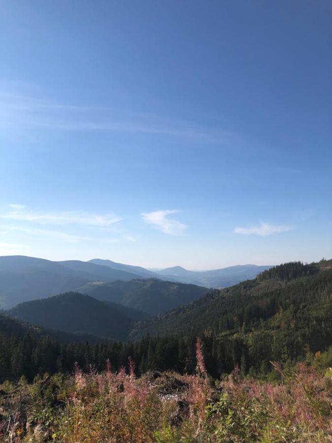Садиба Between Mountains Mizhhirya  المظهر الخارجي الصورة