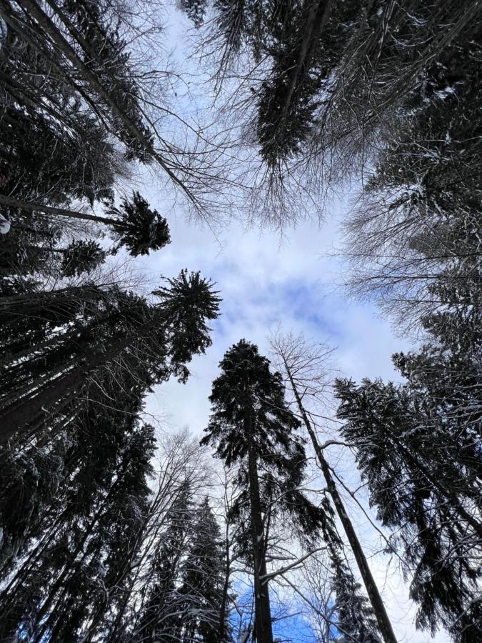 Садиба Between Mountains Mizhhirya  المظهر الخارجي الصورة