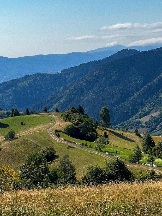 Садиба Between Mountains Mizhhirya  المظهر الخارجي الصورة