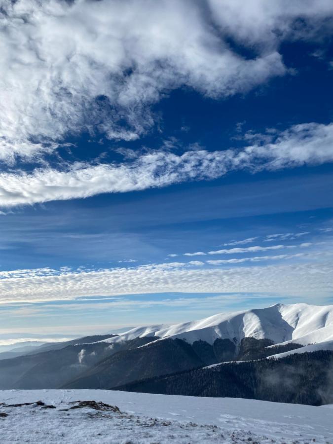 Садиба Between Mountains Mizhhirya  المظهر الخارجي الصورة
