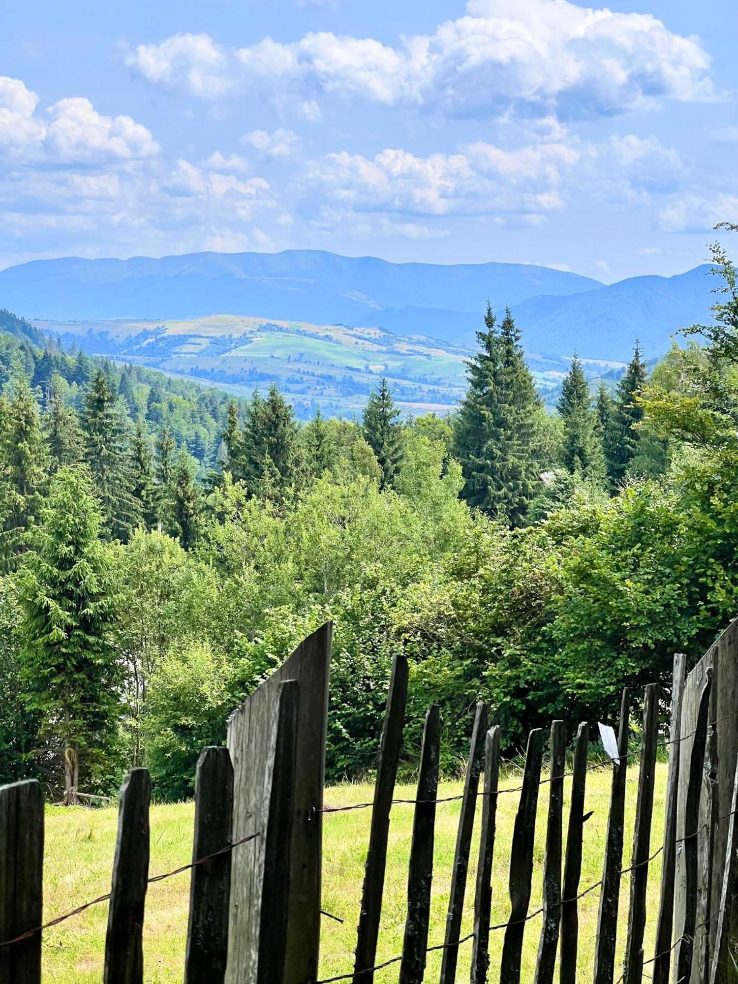 Садиба Between Mountains Mizhhirya  المظهر الخارجي الصورة