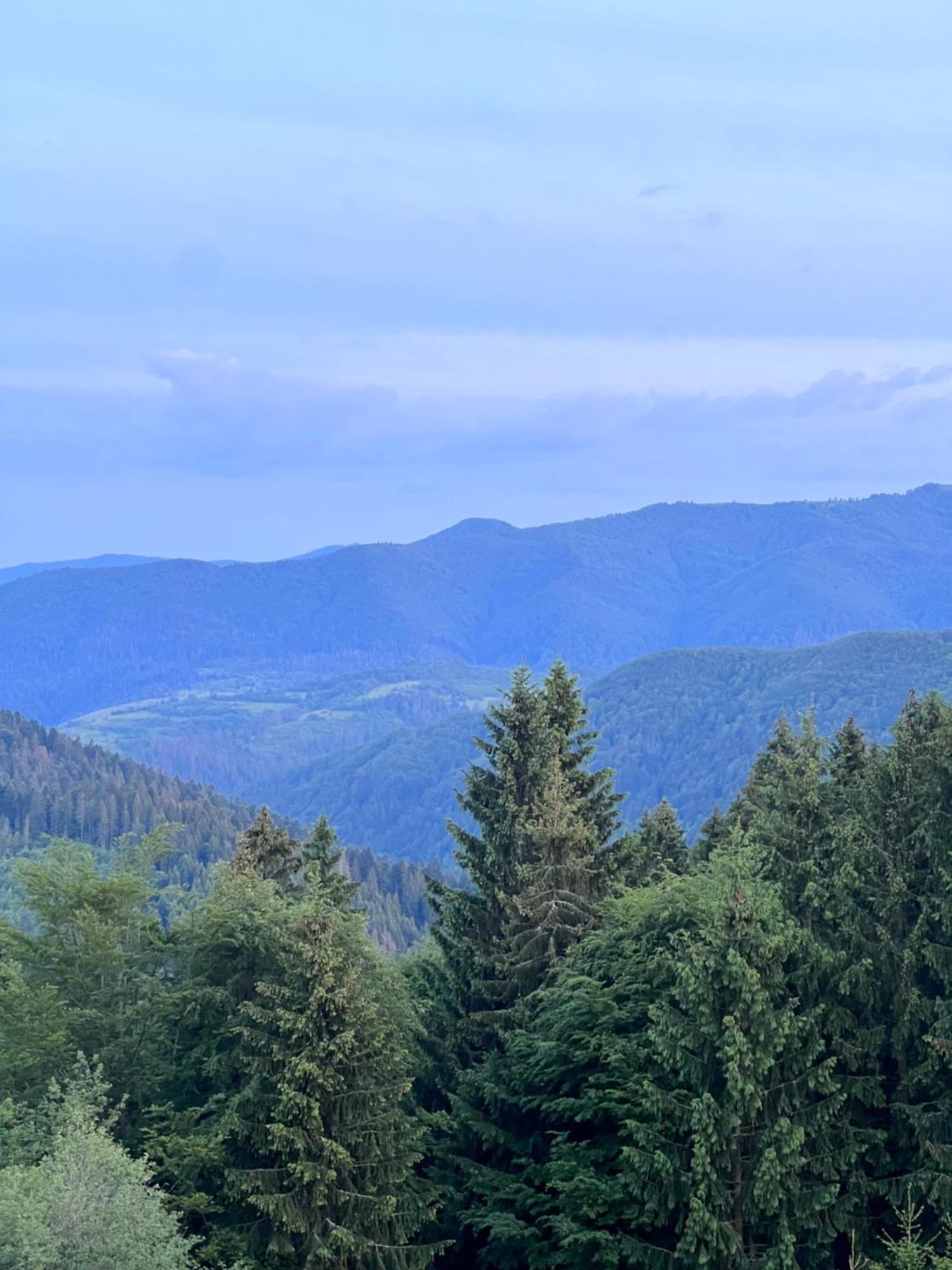 Садиба Between Mountains Mizhhirya  المظهر الخارجي الصورة