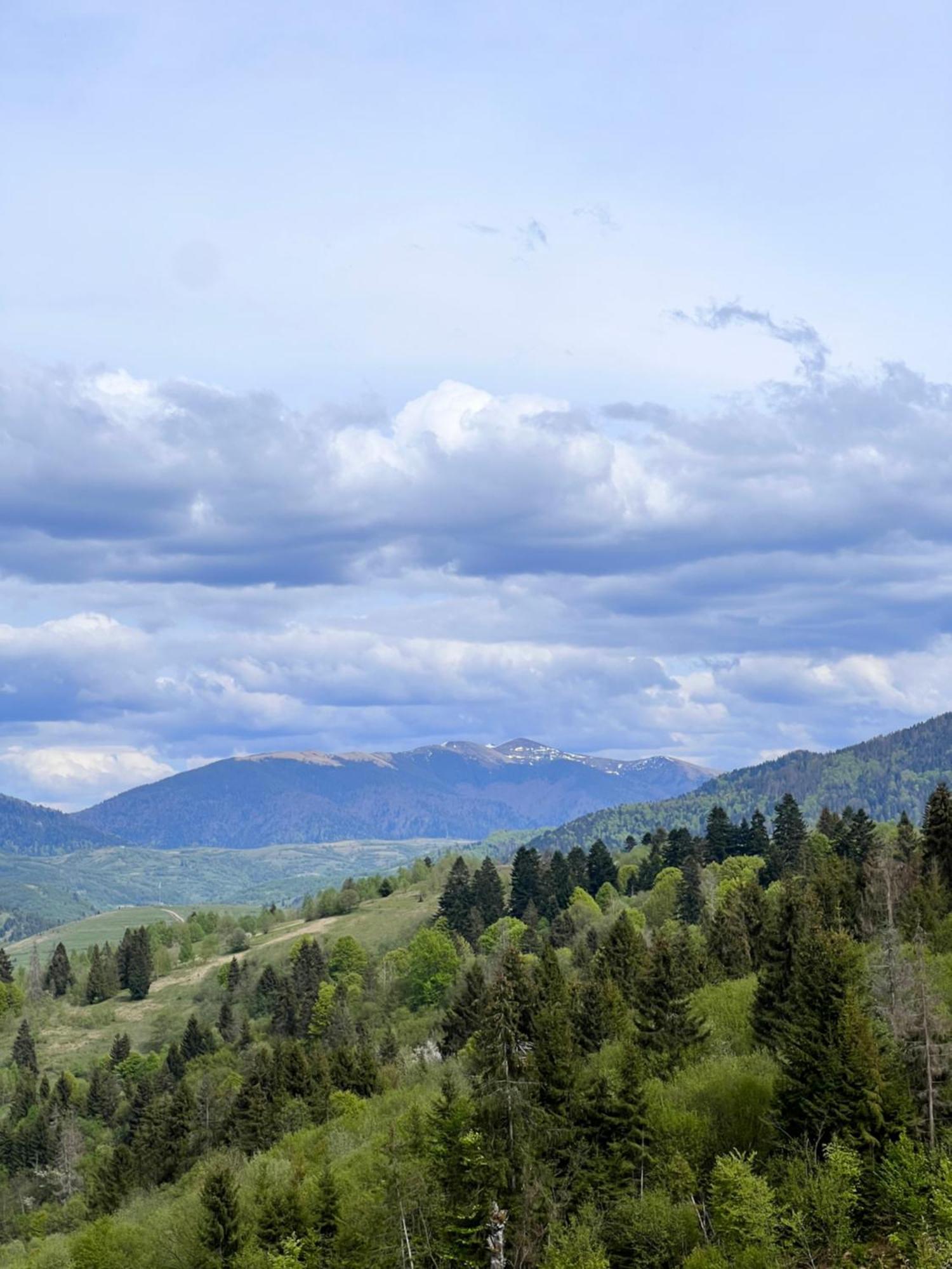 Садиба Between Mountains Mizhhirya  المظهر الخارجي الصورة